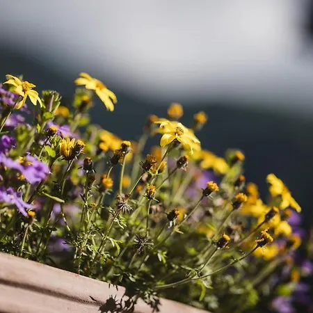 Poort A Poort Dorfhotel Grengiols