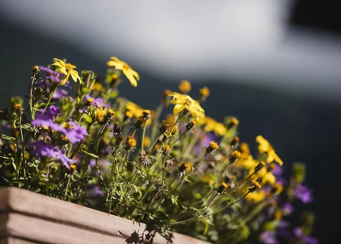 Poort A Poort Dorfhotel Grengiols